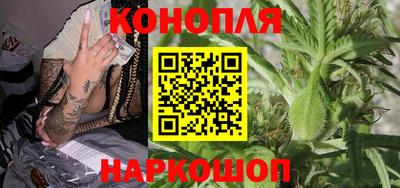 бошки Бийск