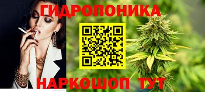 гашик Берёзовский
