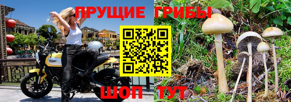 Ишим  Галлюциногенные грибы MAGIC MUSHROOMS  Вход с VPN 